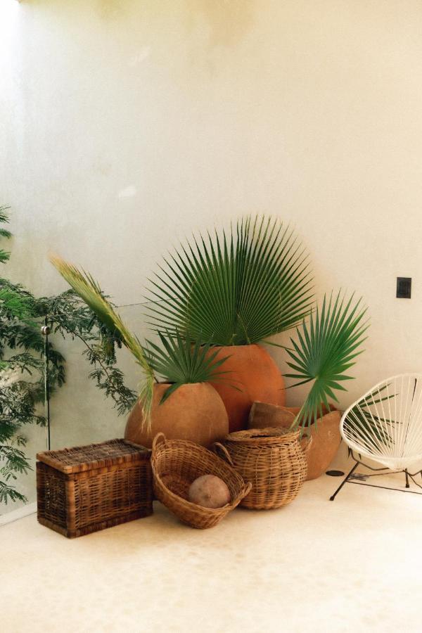 Hotel 16Tulum Zewnętrze zdjęcie